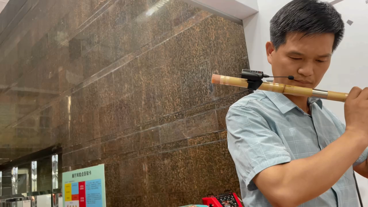 DT-5 Wireless Flute Microphone