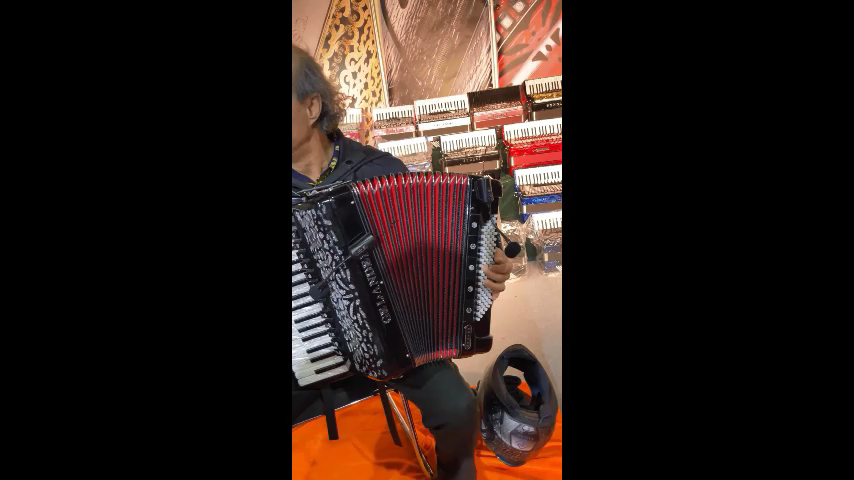 ACE-288/AT-5 Wireless Accordion Microphone for Stage